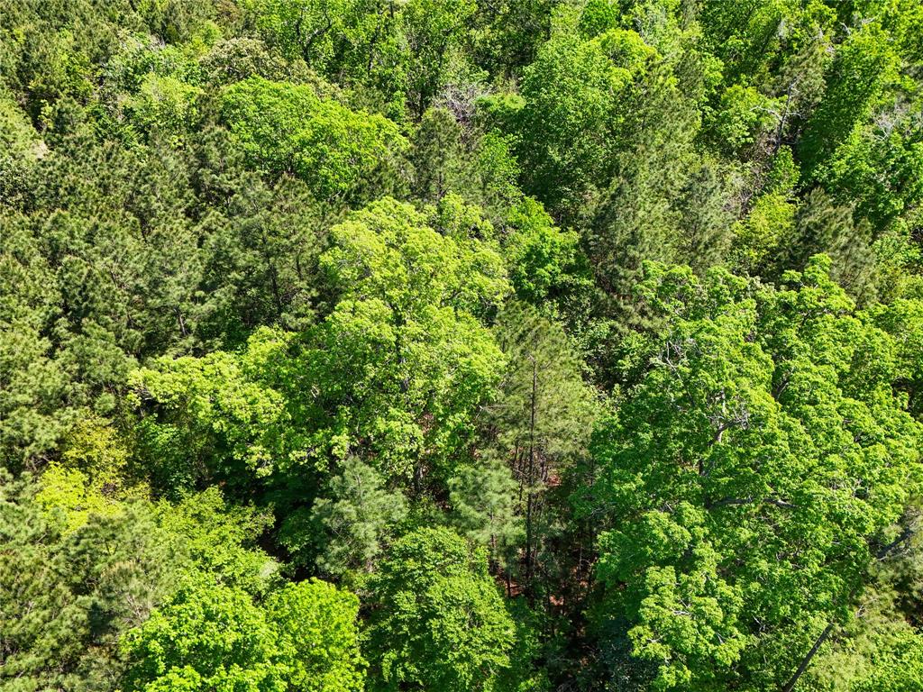 TBD County Road 4259, Woodville, Texas image 35