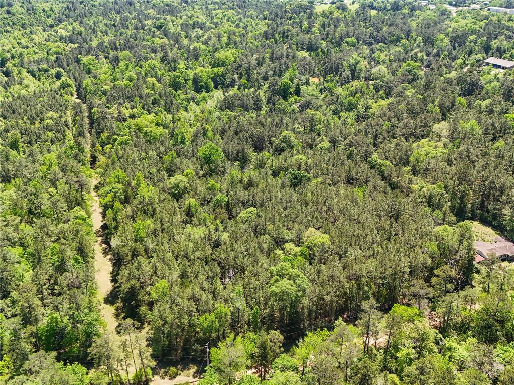 TBD County Road 4259, Woodville, Texas image 3