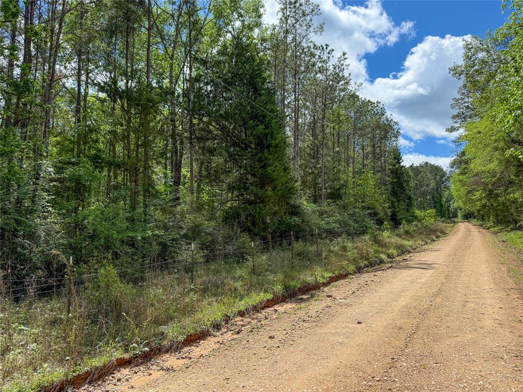 TBD County Road 4259, Woodville, Texas image 27