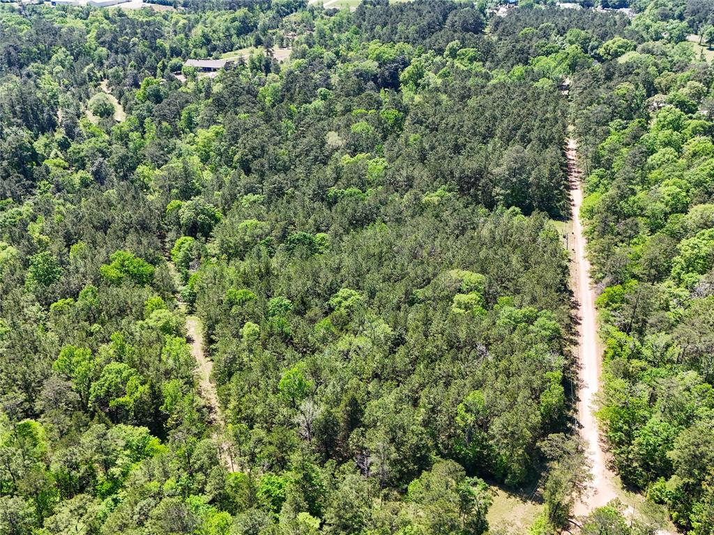 TBD County Road 4259, Woodville, Texas image 4