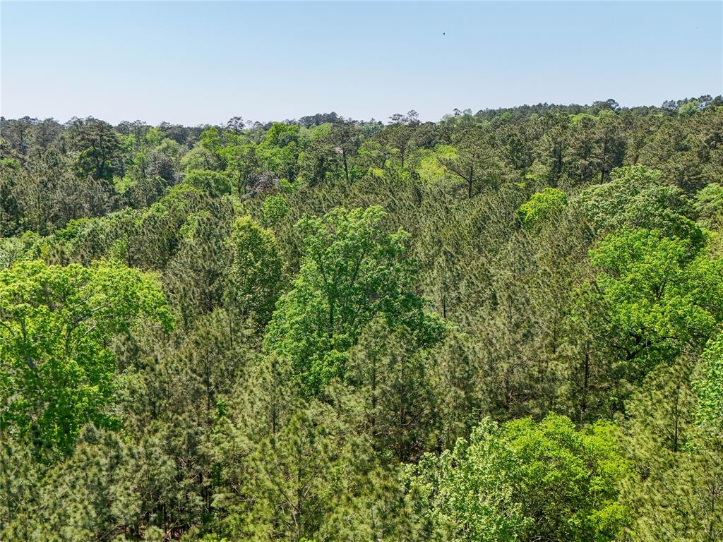 TBD County Road 4259, Woodville, Texas image 38