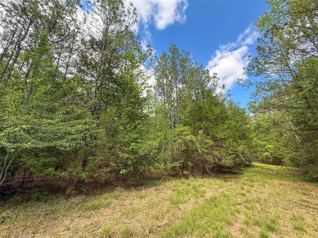 TBD County Road 4259, Woodville, Texas image 19