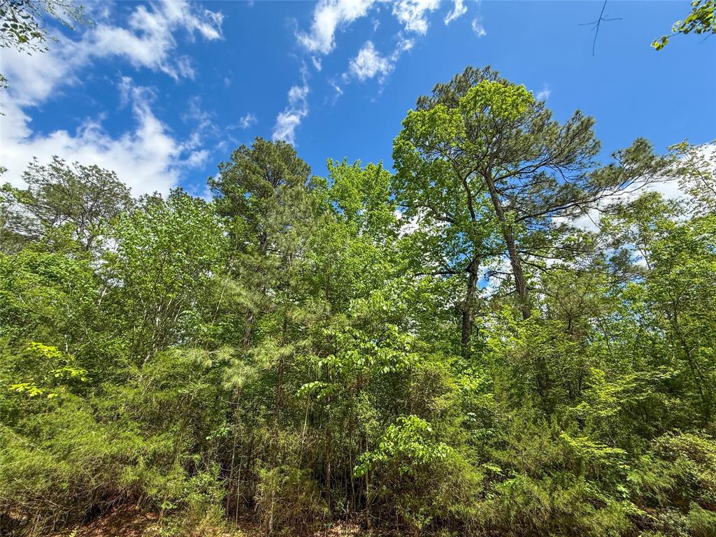 TBD County Road 4259, Woodville, Texas image 26