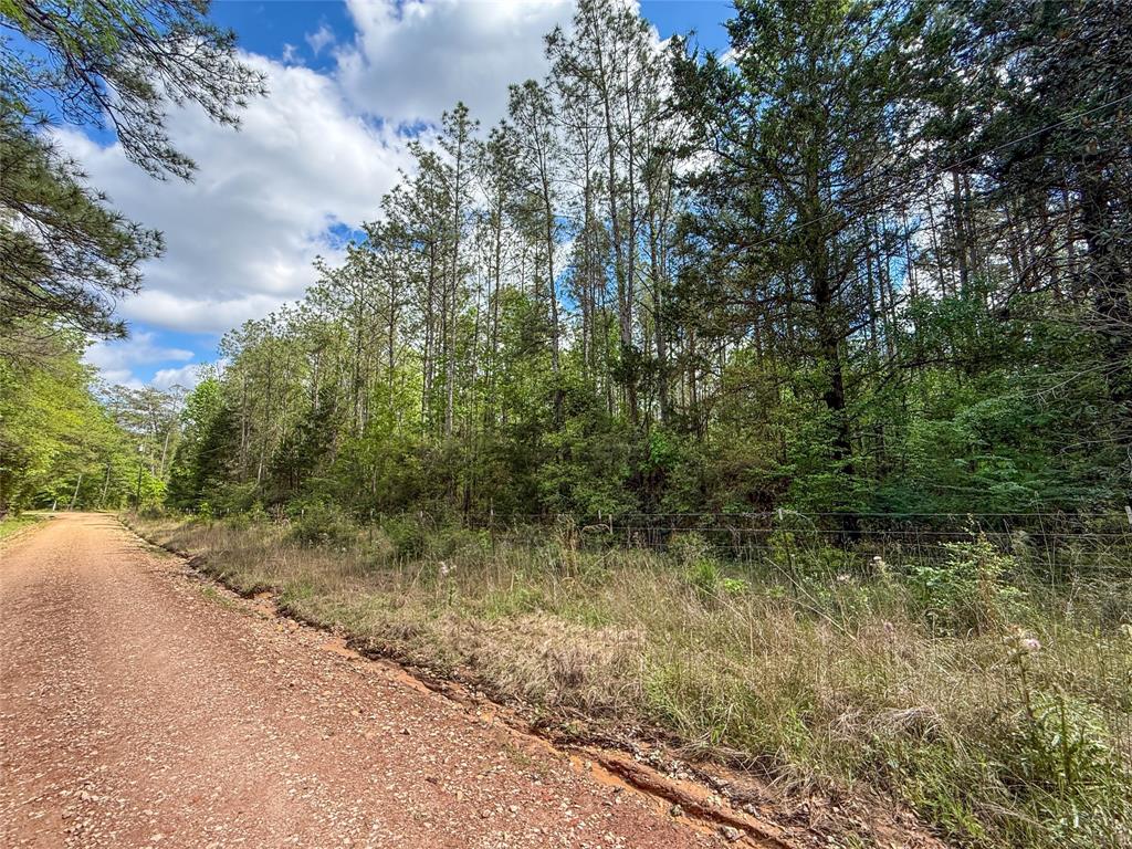 TBD County Road 4259, Woodville, Texas image 9