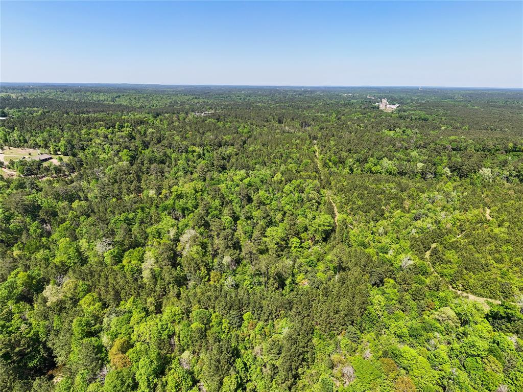TBD County Road 4259, Woodville, Texas image 36
