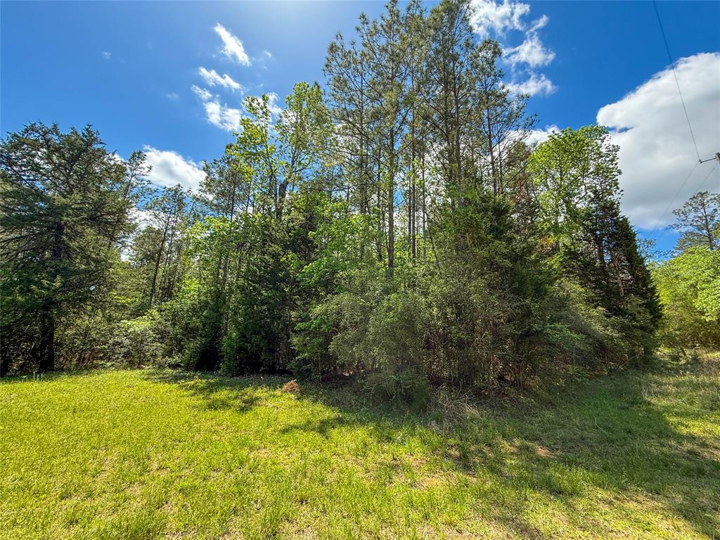 TBD County Road 4259, Woodville, Texas image 11