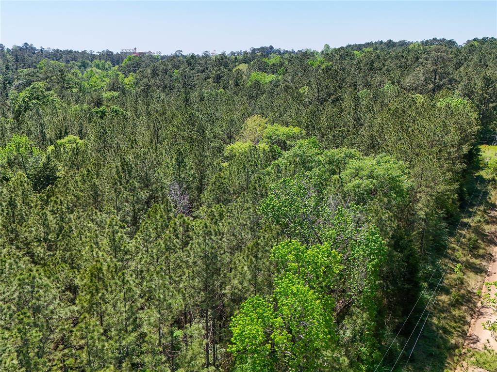 TBD County Road 4259, Woodville, Texas image 31