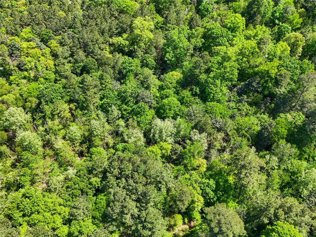 TBD County Road 4259, Woodville, Texas image 34