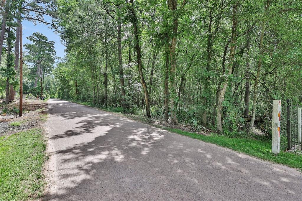 Payne Road, Conroe, Texas image 14