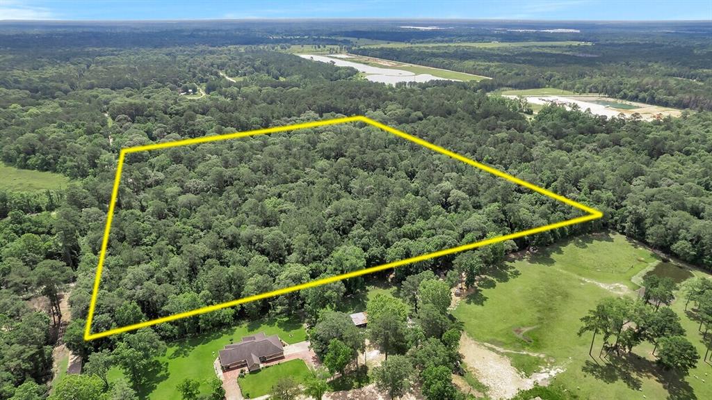 Payne Road, Conroe, Texas image 9