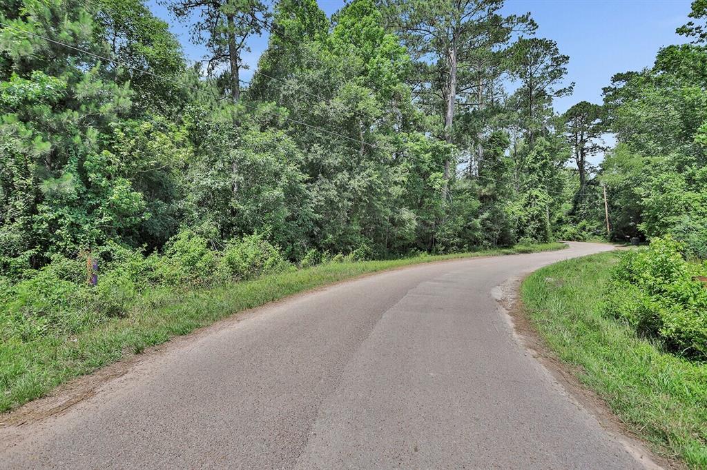 Payne Road, Conroe, Texas image 13