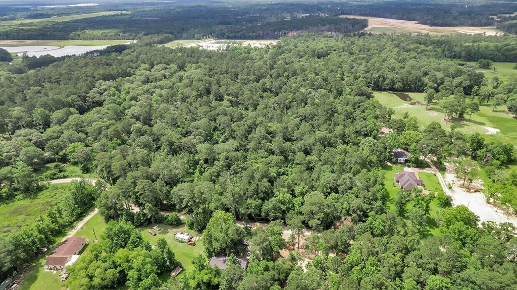 Payne Road, Conroe, Texas image 11