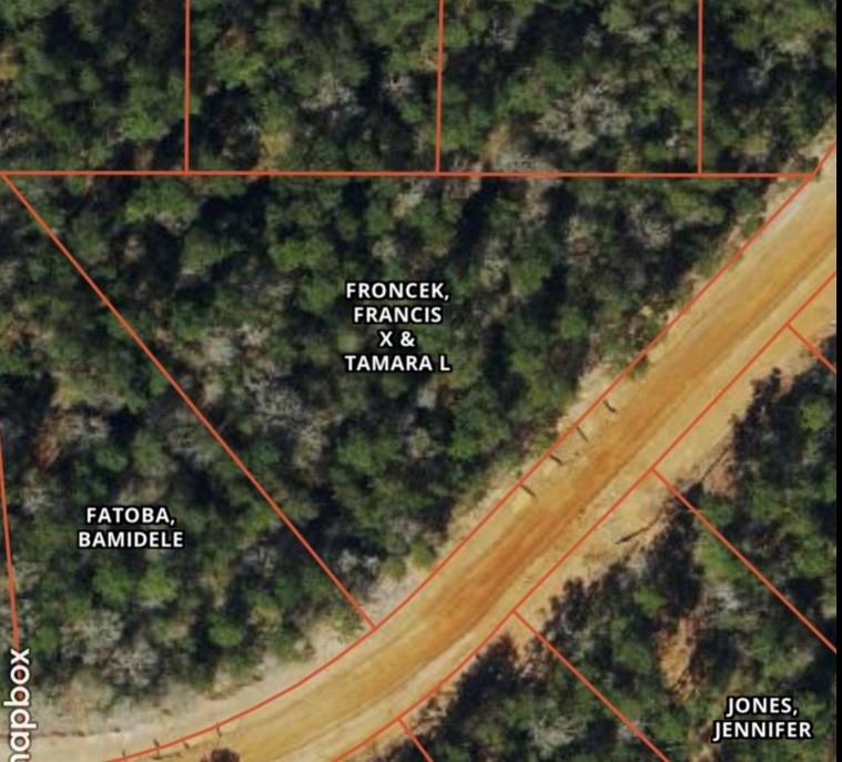 15194 Forest Grove Drive, Willis, Texas image 5