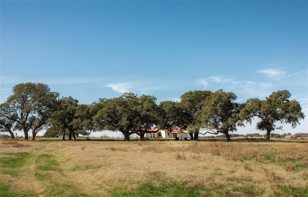 5344 Hartfield Road Rd, Round Top, Texas image 14