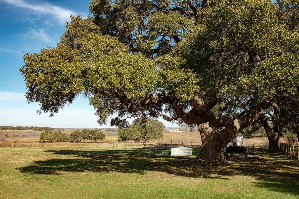 5344 Hartfield Road Rd, Round Top, Texas image 13