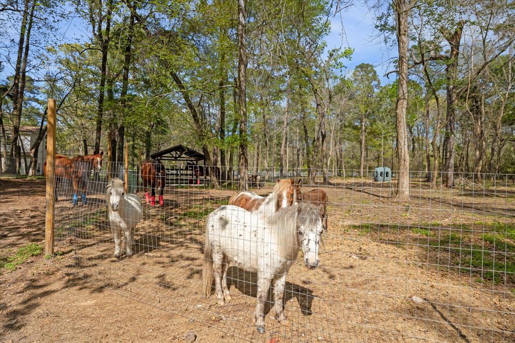 41103 Mill Creek Road, Magnolia, Texas image 27