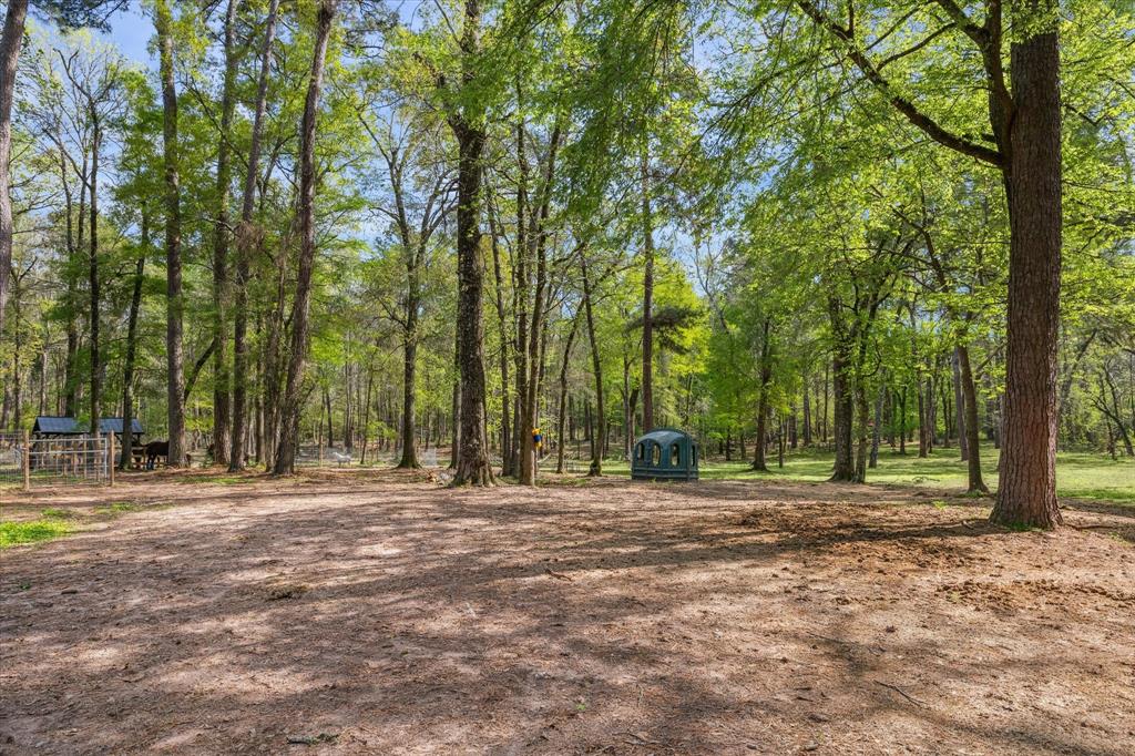 41103 Mill Creek Road, Magnolia, Texas image 28