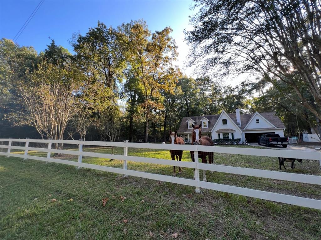 41103 Mill Creek Road, Magnolia, Texas image 33