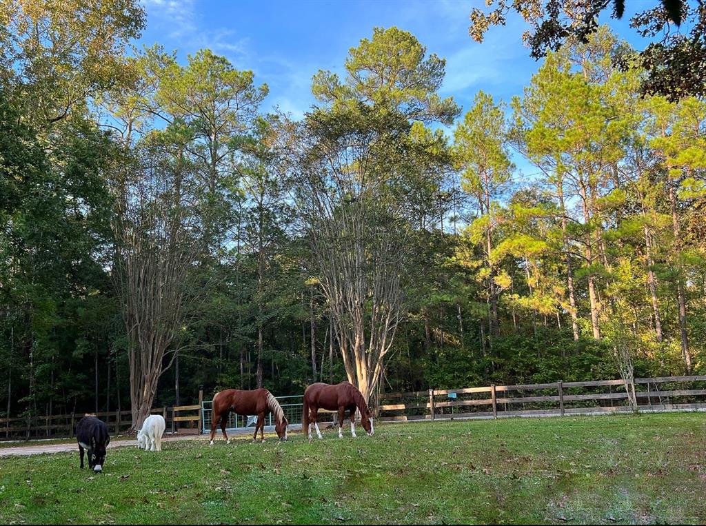 41103 Mill Creek Road, Magnolia, Texas image 35