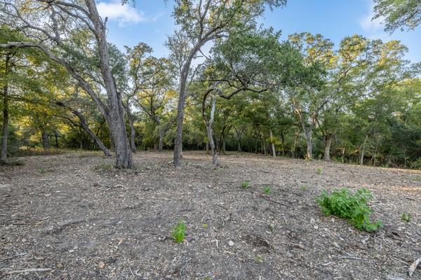 TBD Wendy Lane - Lot 21, Round Top, Texas image 4