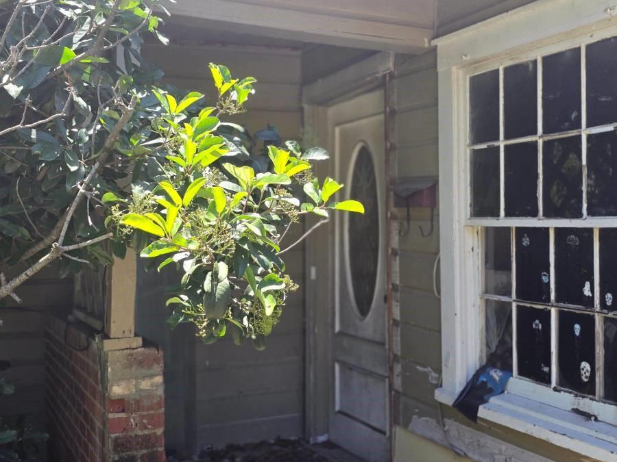 3812 King Street, Greenville, Texas image 4