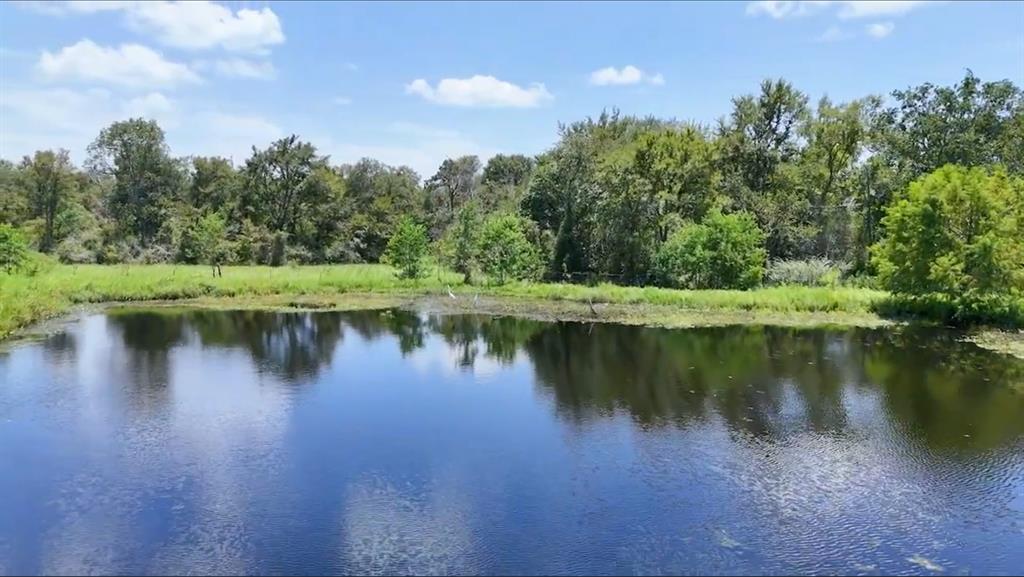 Wiggins Road, Hempstead, Texas image 2