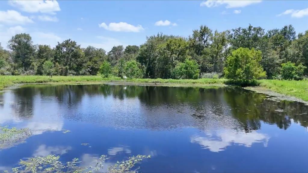 Wiggins Road, Hempstead, Texas image 3