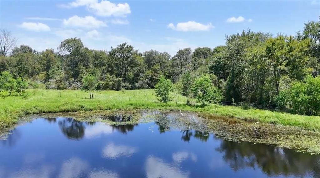 Wiggins Road, Hempstead, Texas image 9