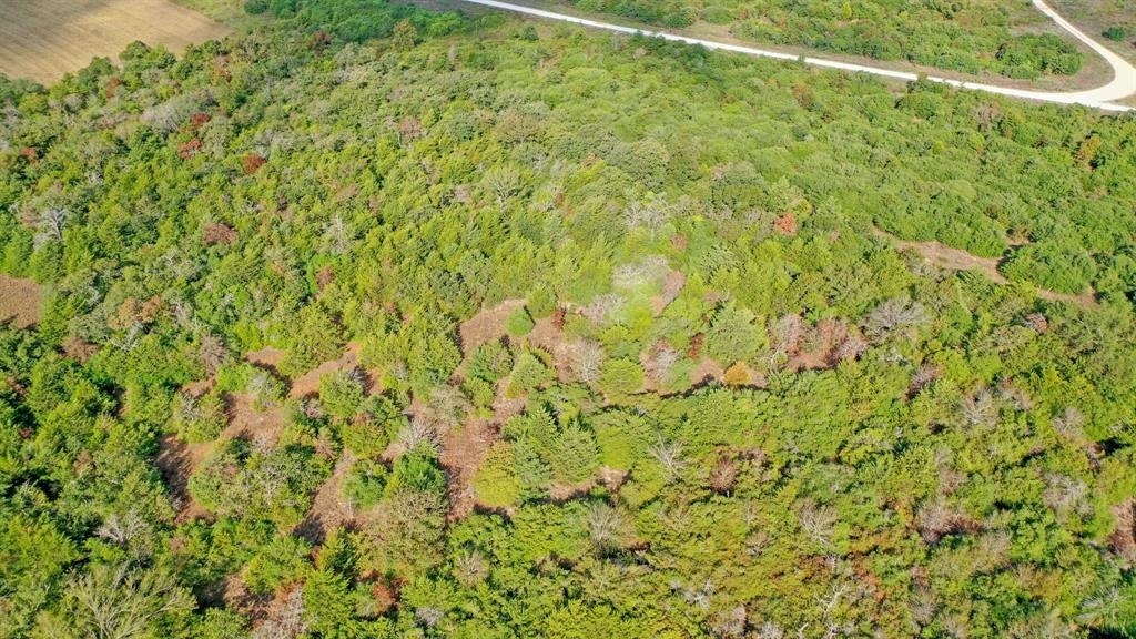 2874 Old Boone Prairie Road, Franklin, Texas image 8