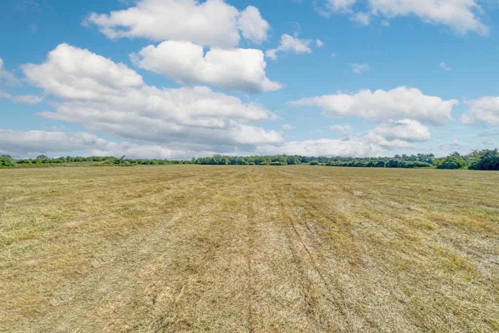 2874 Old Boone Prairie Road, Franklin, Texas image 6