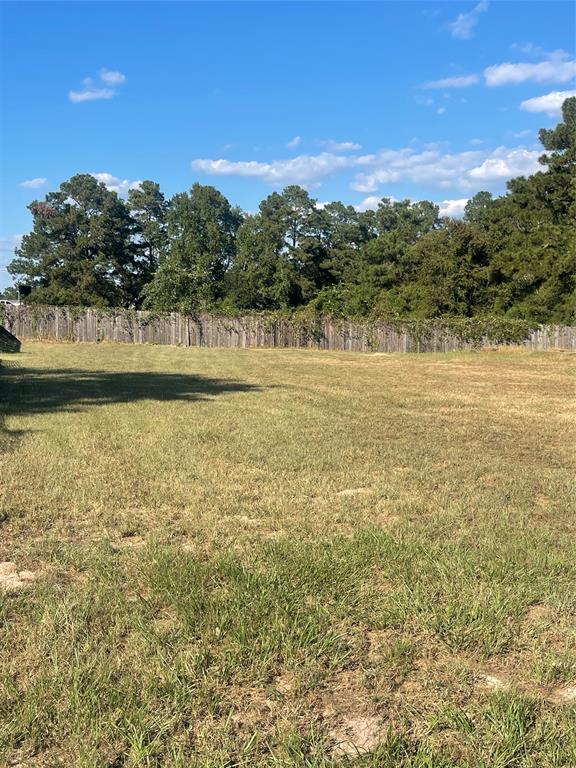 127 Pine Bluff Drive, Montgomery, Texas image 1