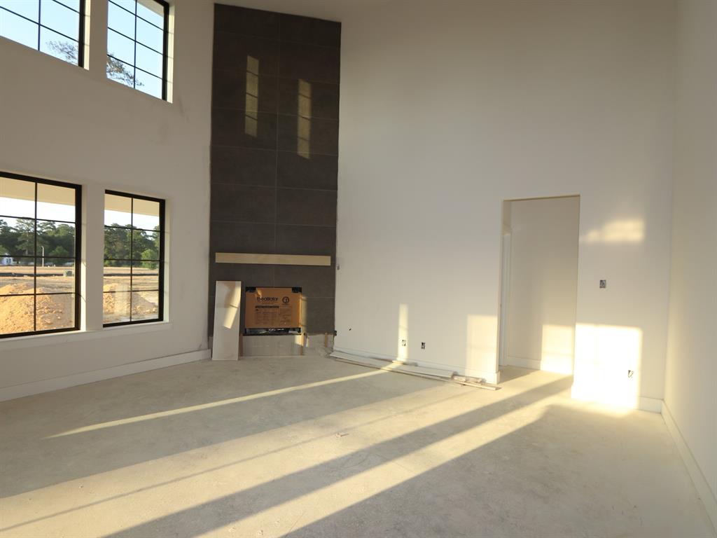 21006 Yellow Ipe Grove Court