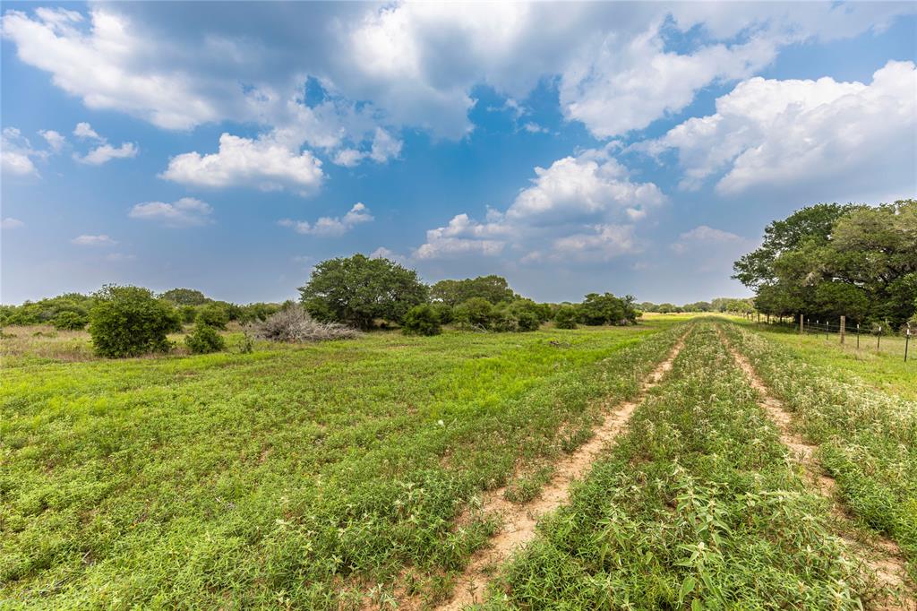 2948 County Road 106 Rd, Columbus, Texas image 11