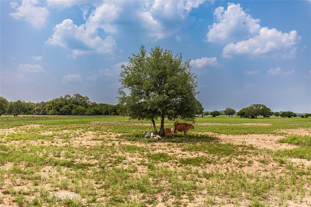 2948 County Road 106 Rd, Columbus, Texas image 4