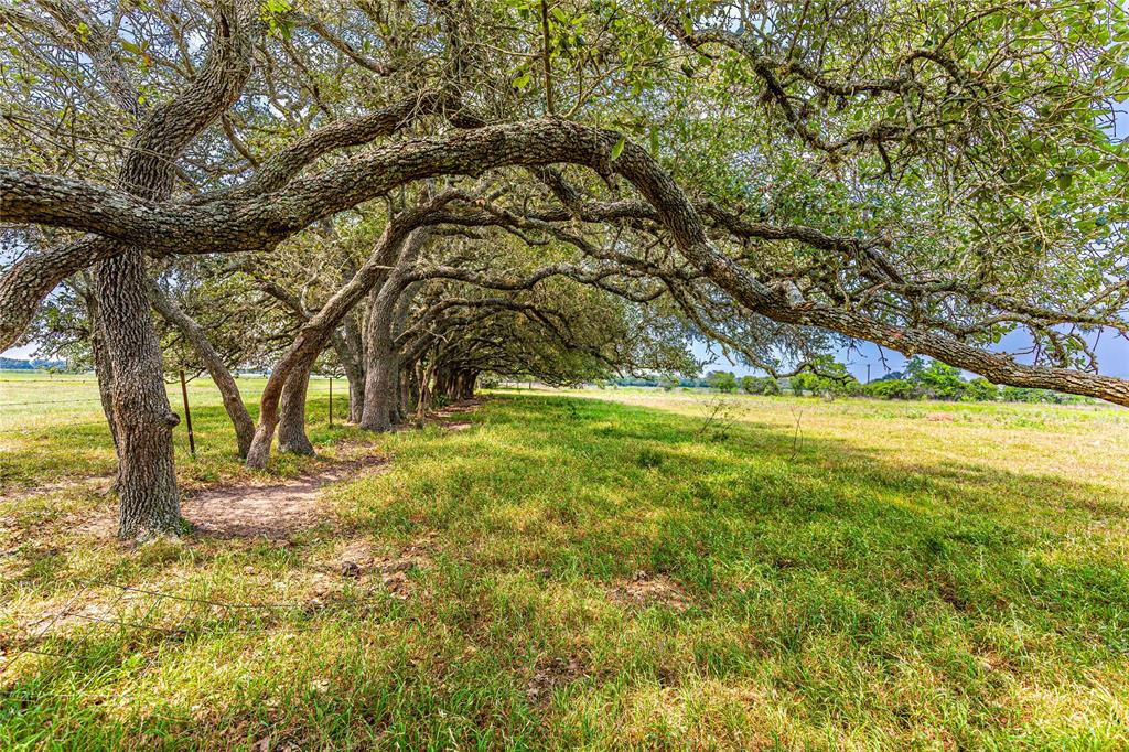 2948 County Road 106 Rd, Columbus, Texas image 1