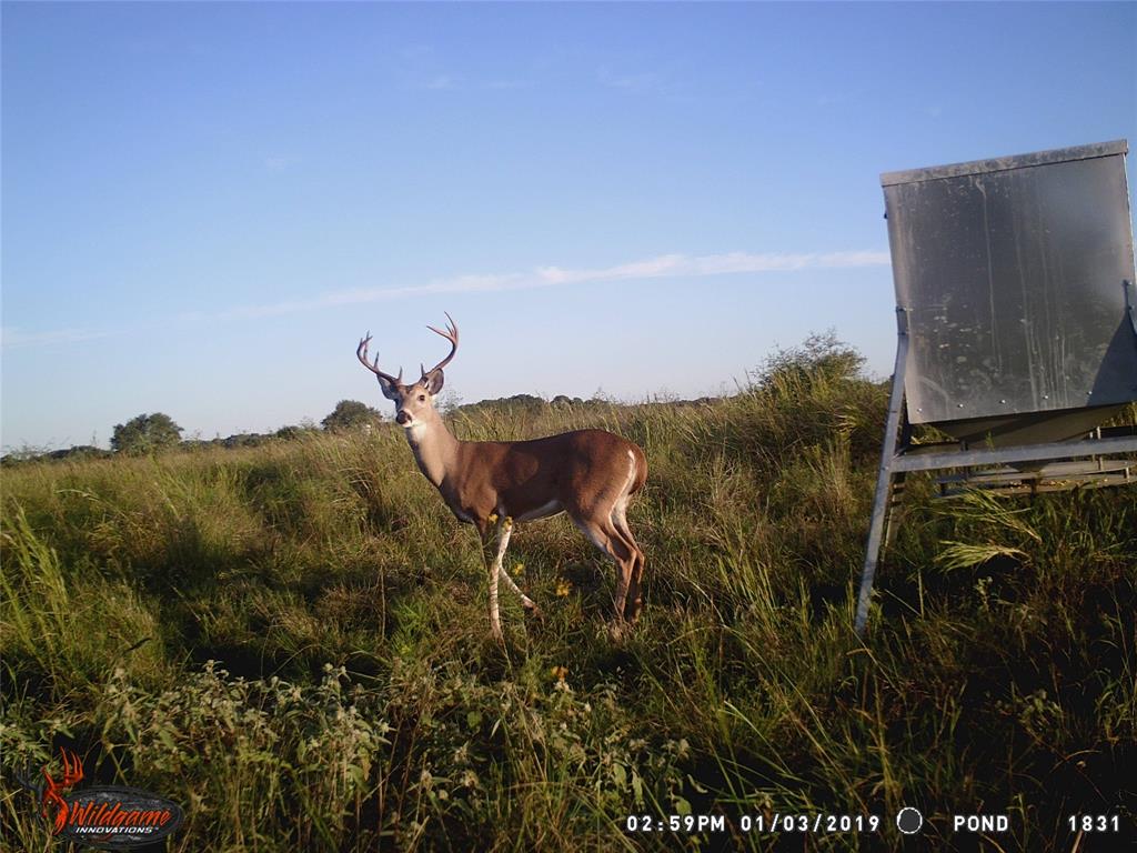 2948 County Road 106 Rd, Columbus, Texas image 26