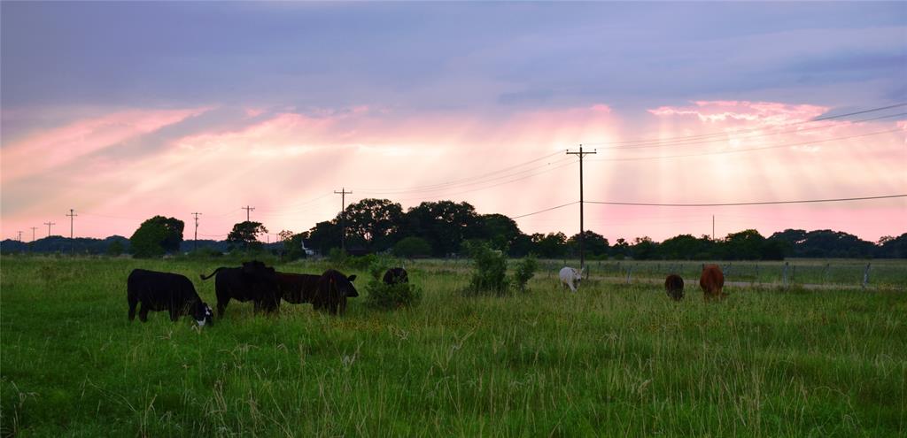 2948 County Road 106 Rd, Columbus, Texas image 24