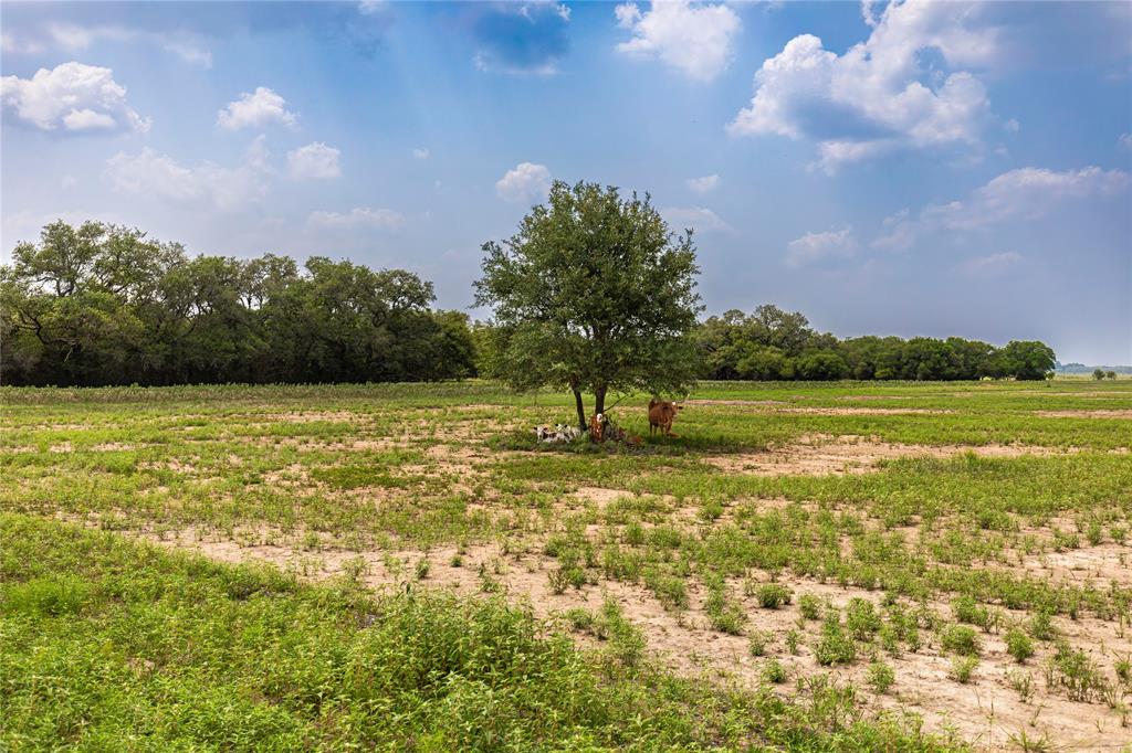 2948 County Road 106 Rd, Columbus, Texas image 3