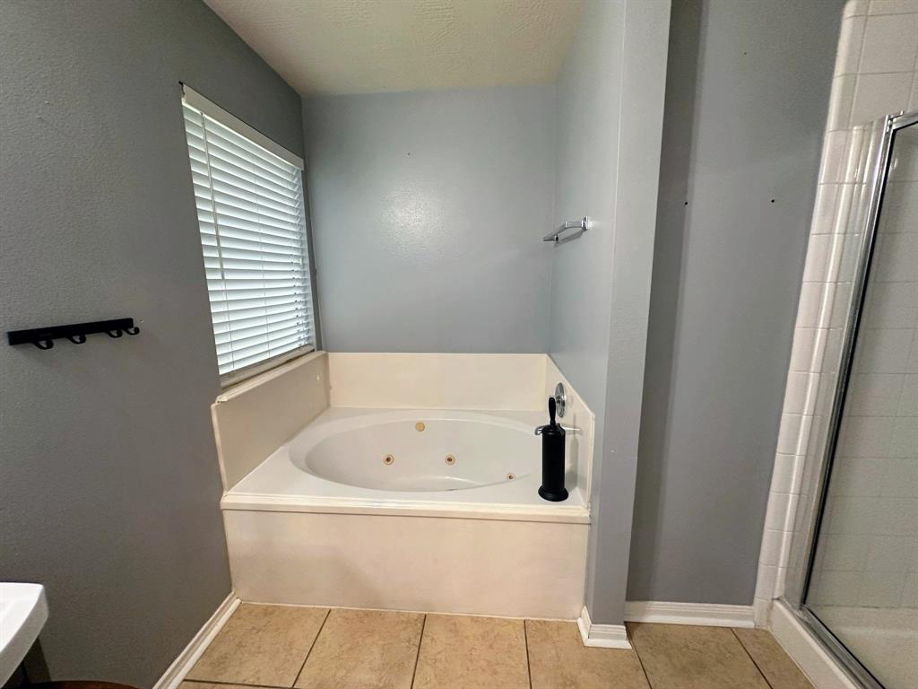 3627 Liberty Square Trail, Fresno, Texas image 13