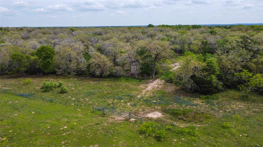 1825 Armstrong-derry Road, Flatonia, Texas image 12