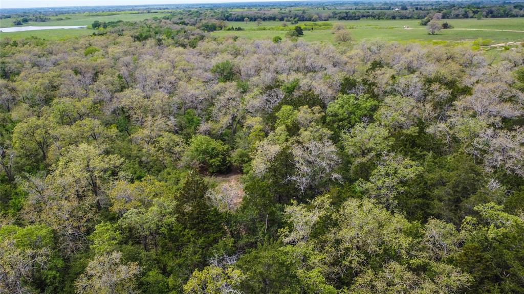 1825 Armstrong-derry Road, Flatonia, Texas image 7