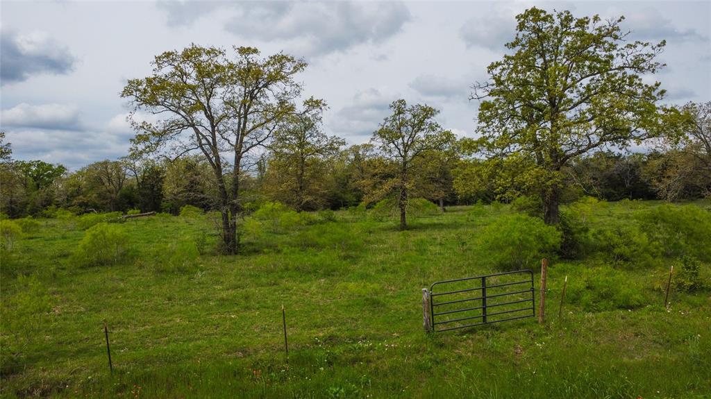 1825 Armstrong-derry Road, Flatonia, Texas image 5