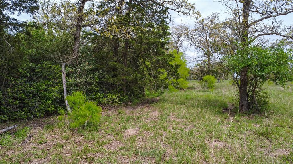 1825 Armstrong-derry Road, Flatonia, Texas image 9