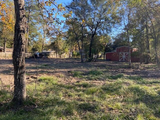 1702 E Bembridge Drive, Spring, Texas image 2