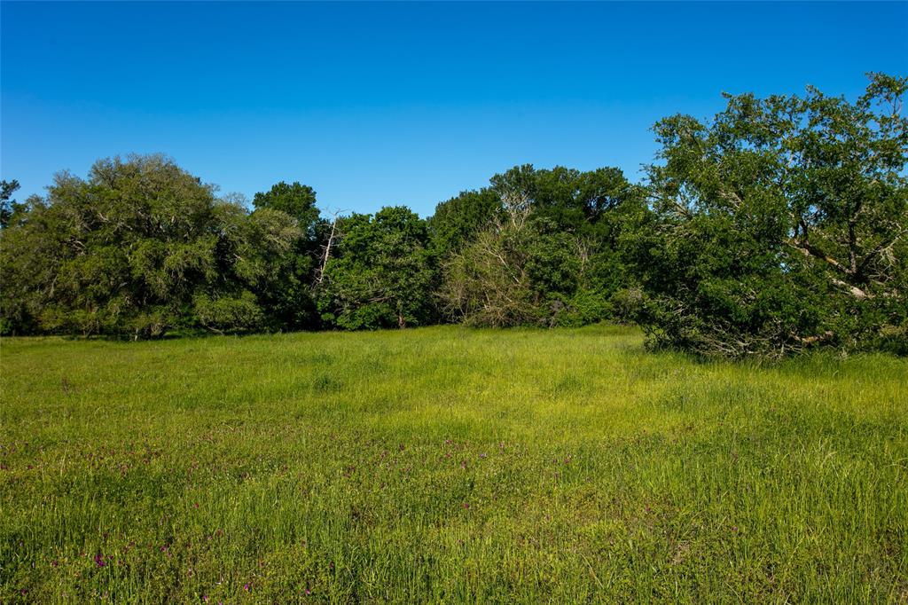 Lot 5B Brazos Court, Caldwell, Texas image 3