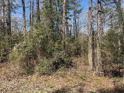 Photo of 3 Meridian, Livingston, TX 77351 (MLS # 6360438)