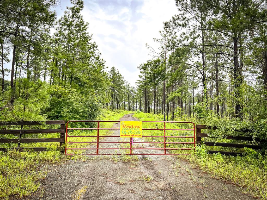 0123 Cr 257, Jasper, Texas image 15