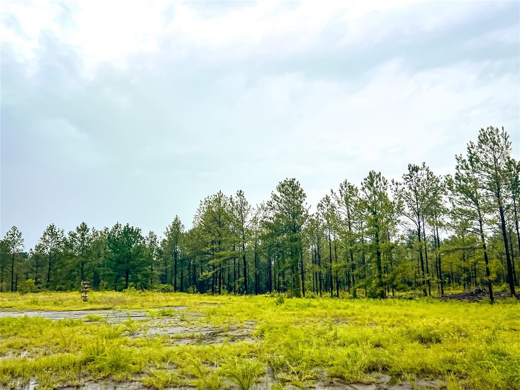 0123 Cr 257, Jasper, Texas image 9