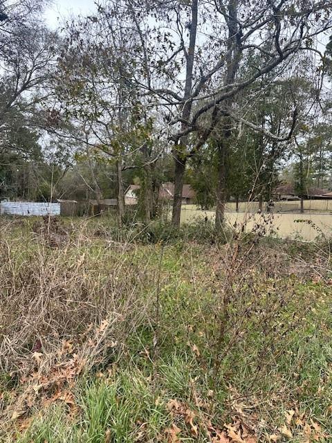 Lot 20 Brinwood Place, Livingston, Texas image 4