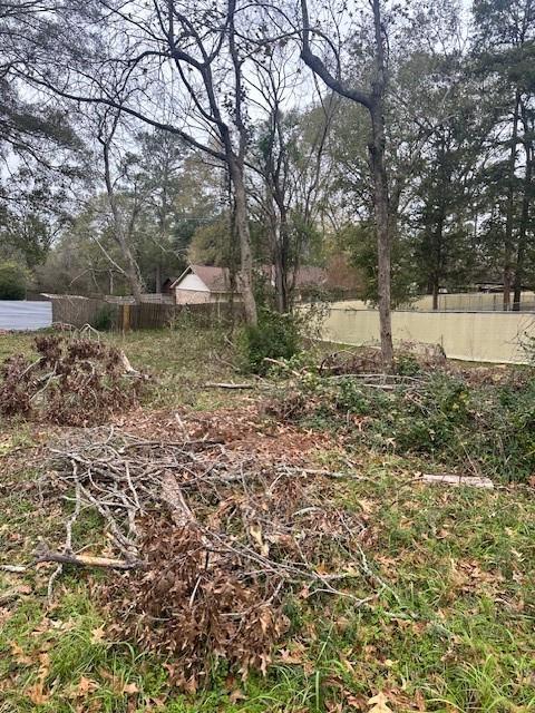 Lot 20 Brinwood Place, Livingston, Texas image 9